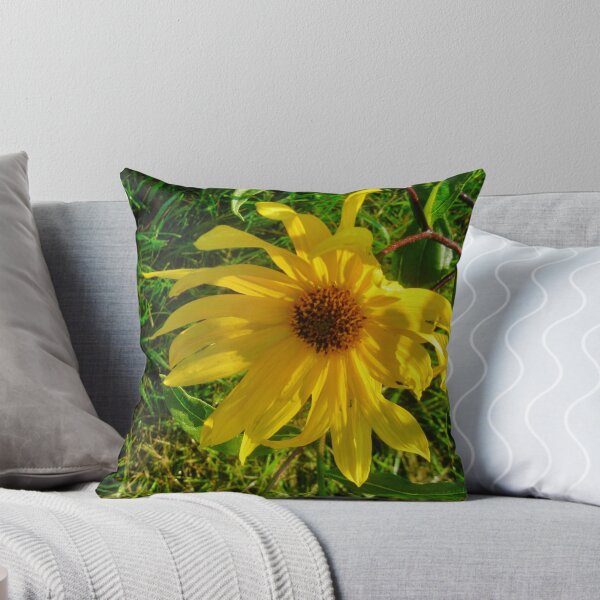 Item preview, Drooping Daisy designed and sold by Shulie1.
