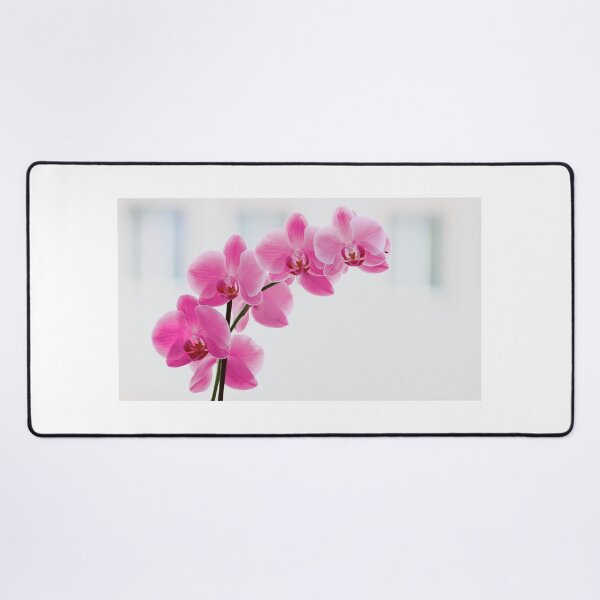 Item preview, Elegant Pink Orchid Flower designed and sold by newburyboutique.