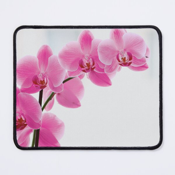 Item preview, Elegant Pink Orchid Flower designed and sold by newburyboutique.