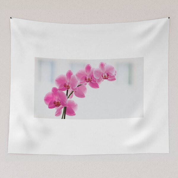 Item preview, Elegant Pink Orchid Flower designed and sold by newburyboutique.