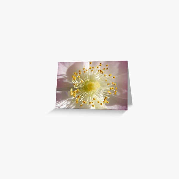 Item preview, Olde World Charm macro designed and sold by CapturedByKylie.