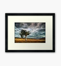 Old Favorite Framed Print