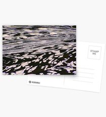 Nature's water foam abstract Postcards