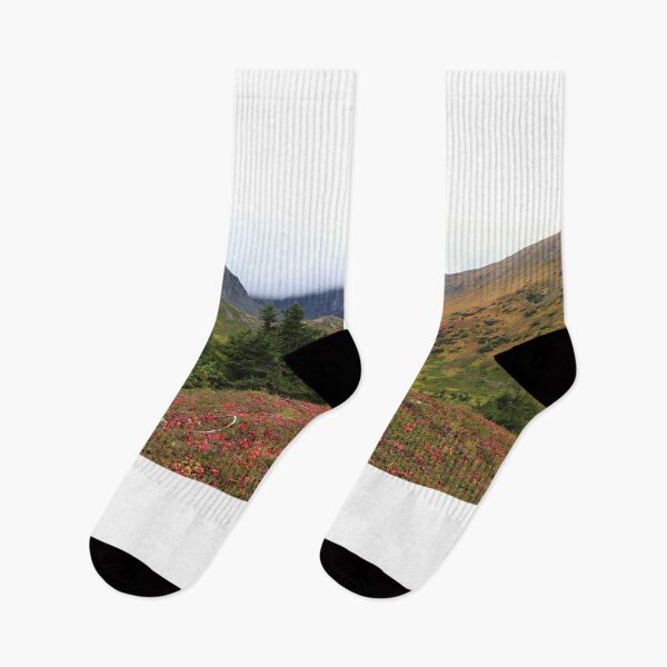 Item preview, On the Palmer lakes trail (panorama) designed and sold by zumi.