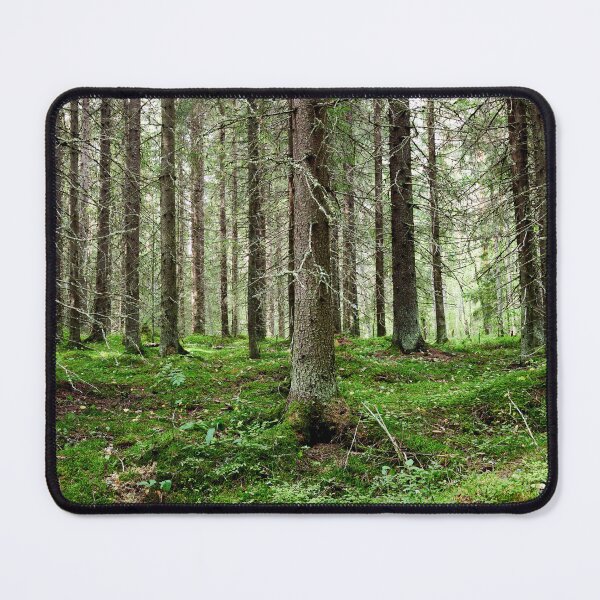 Item preview, Old spruces forest designed and sold by Jouko Lehto Photography.