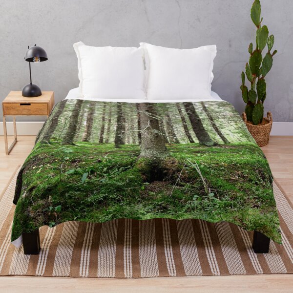 Item preview, Old spruces forest designed and sold by Jouko Lehto Photography.