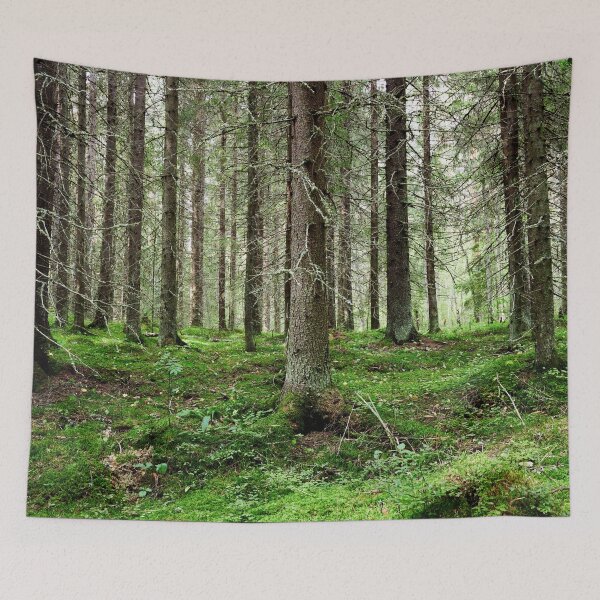 Item preview, Old spruces forest designed and sold by Jouko Lehto Photography.