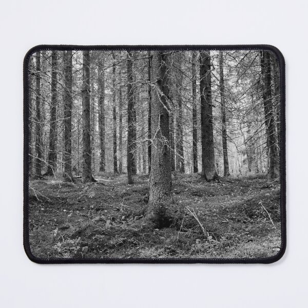 Item preview, Old spruces forest bw designed and sold by Jouko Lehto Photography.