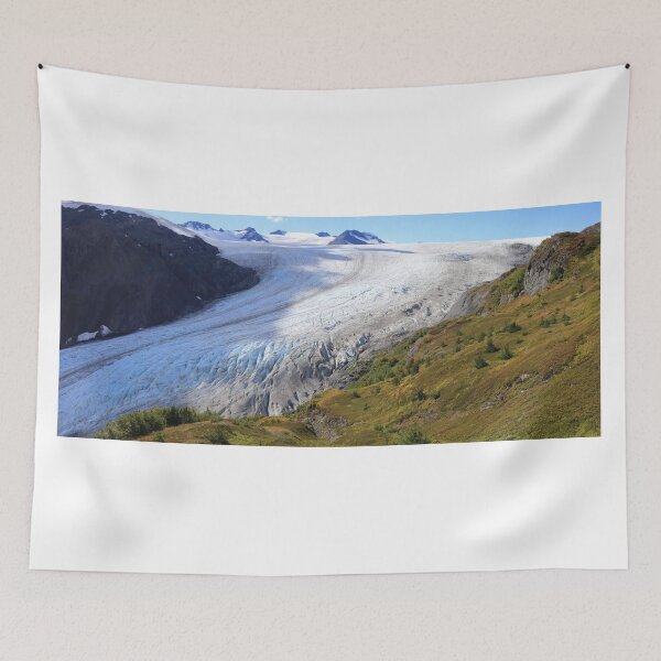 Item preview, Exit glacier panorama designed and sold by zumi.