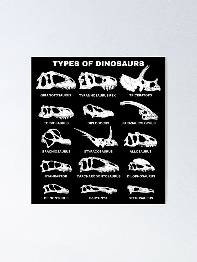 Poster de fossiles de dinosaures