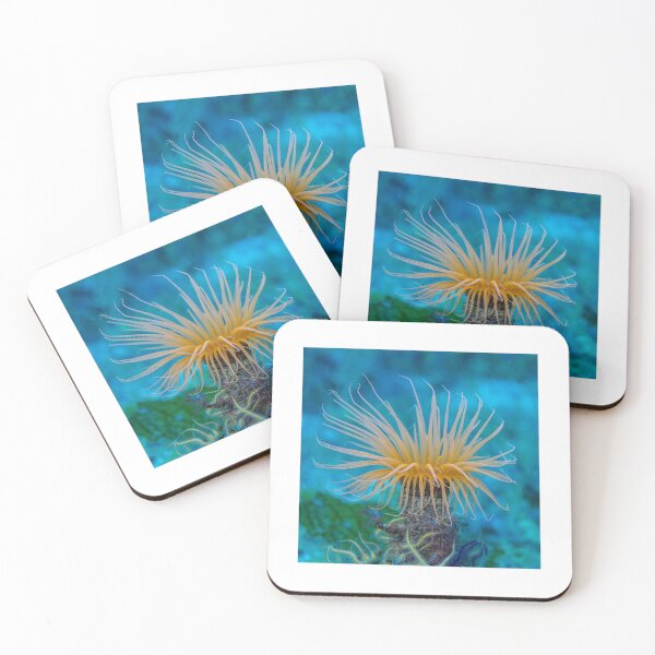 Item preview, Cute Light Orange Sea Anemone designed and sold by silviaol.