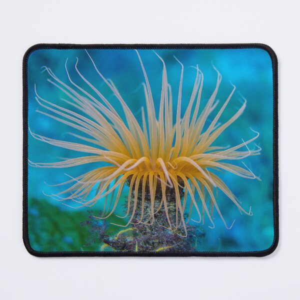Item preview, Cute Light Orange Sea Anemone designed and sold by silviaol.