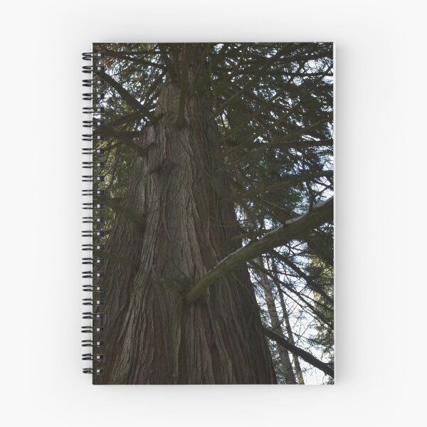 Item preview, big beautiful cedar designed and sold by Amanda Huggins.