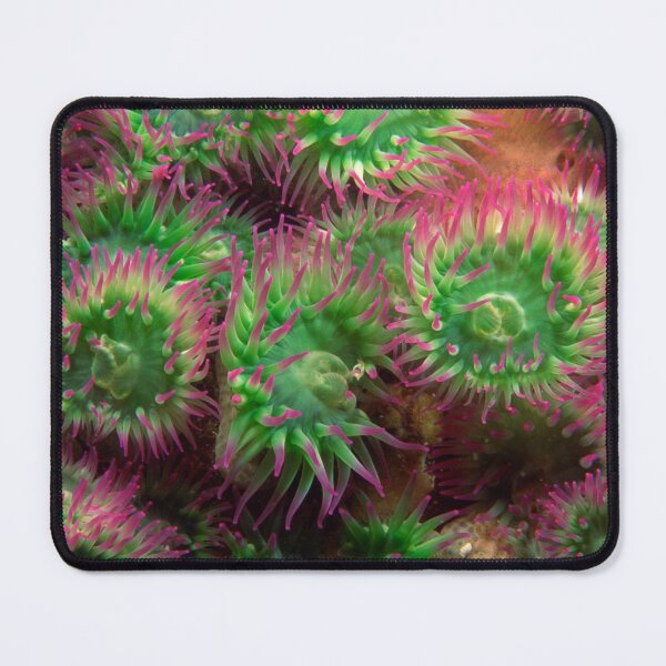 Item preview, Green and Magenta Colorful Sea Anemone designed and sold by silviaol.