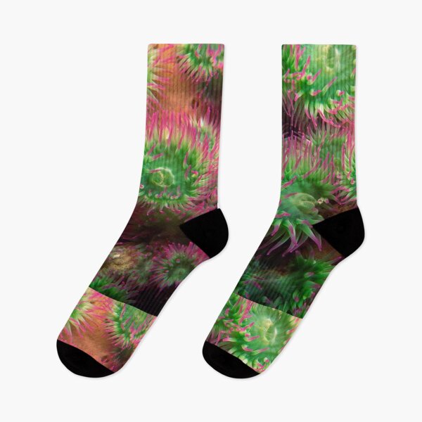 Item preview, Green and Magenta Colorful Sea Anemone designed and sold by silviaol.
