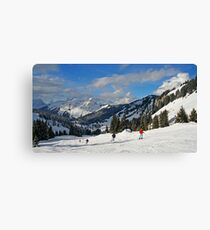 Why I ski too Canvas Print