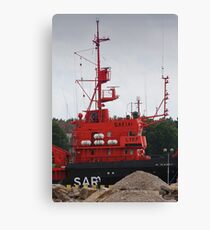 Red & Black Canvas Print