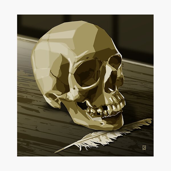 Skull Study Photographic Print
