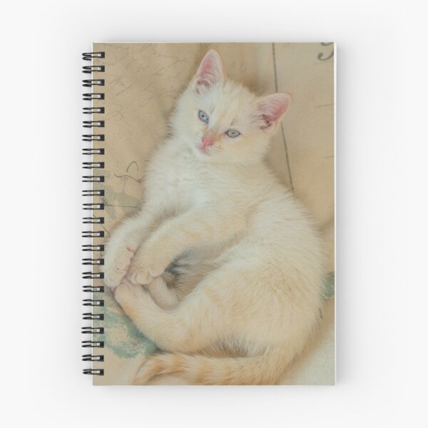 Item preview, Young Flame Point Kitten Relaxing on his Bed designed and sold by Roxane Bay.