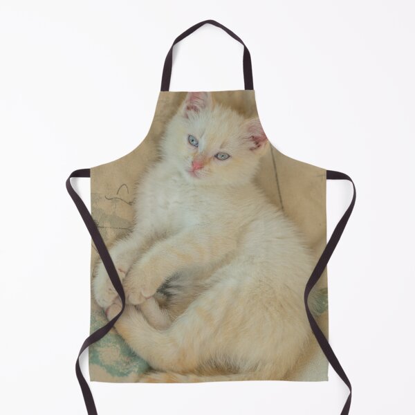 Item preview, Young Flame Point Kitten Relaxing on his Bed designed and sold by Roxane Bay.