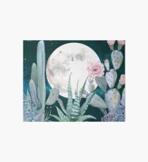 Cactus Nights Pretty Pink and Blue Desert Stars Cacti Illustration Art Board