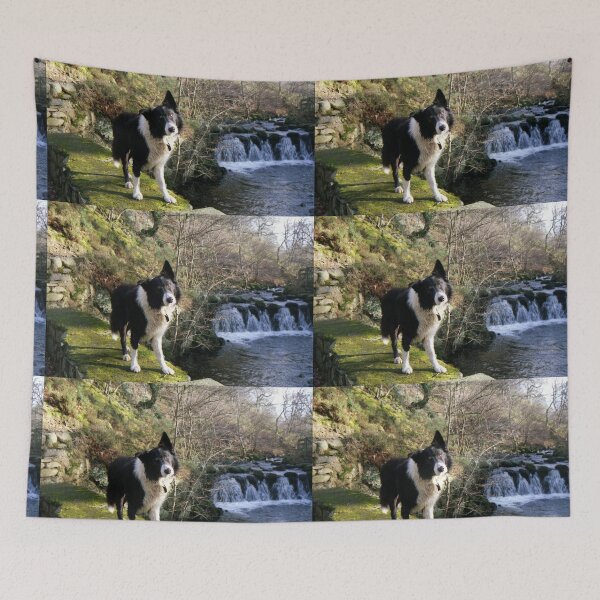 Item preview, Indy at Nant-Y-Coed designed and sold by Michael Haslam.
