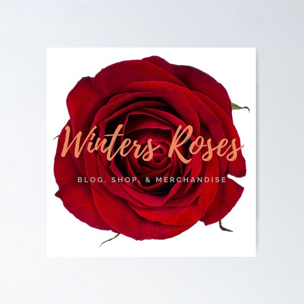 Winters Roses Red Rose Poster