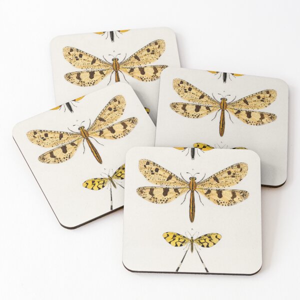 Item preview, Vintage Flying Insect Diagram Illustration  designed and sold by Old Soul Vintage .
