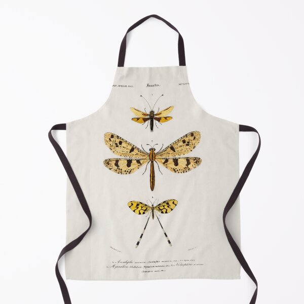 Item preview, Vintage Flying Insect Diagram Illustration designed and sold by Old Soul Vintage .
