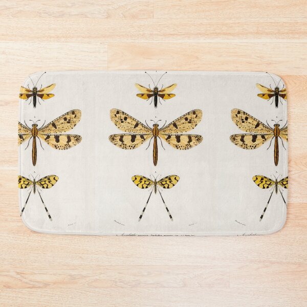 Item preview, Vintage Flying Insect Diagram Illustration  designed and sold by Old Soul Vintage .