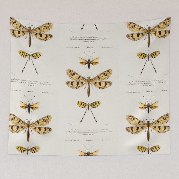 Item preview, Vintage Flying Insect Diagram Illustration  designed and sold by Old Soul Vintage .