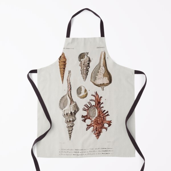 Item preview, Vintage Sea Shell Diagram Illustration designed and sold by Old Soul Vintage .