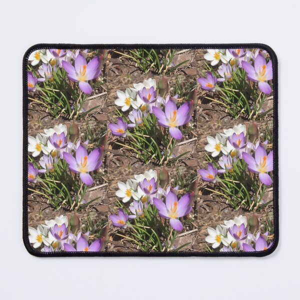 Item preview, Assorted Crocuses  designed and sold by Amanda1775.
