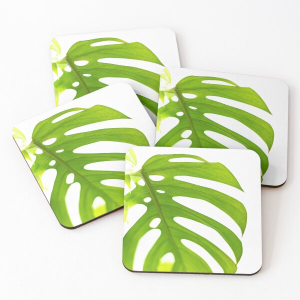 Item preview, Split Leaf Philodendron House Plant designed and sold by Roxane Bay.