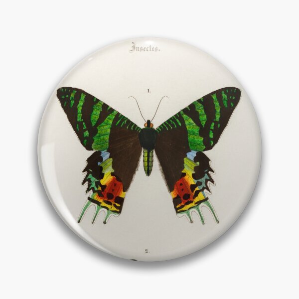 Item preview, Vintage Madagascan Sunset Moth Diagram Illustration  designed and sold by Old Soul Vintage .
