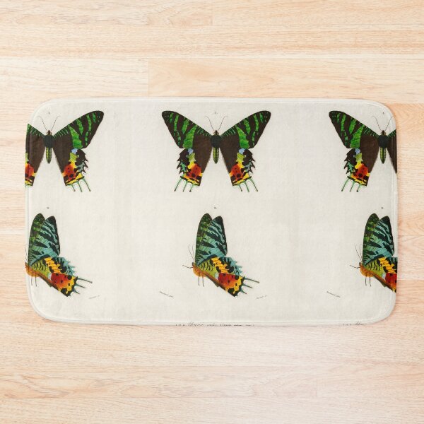 Item preview, Vintage Madagascan Sunset Moth Diagram Illustration  designed and sold by Old Soul Vintage .