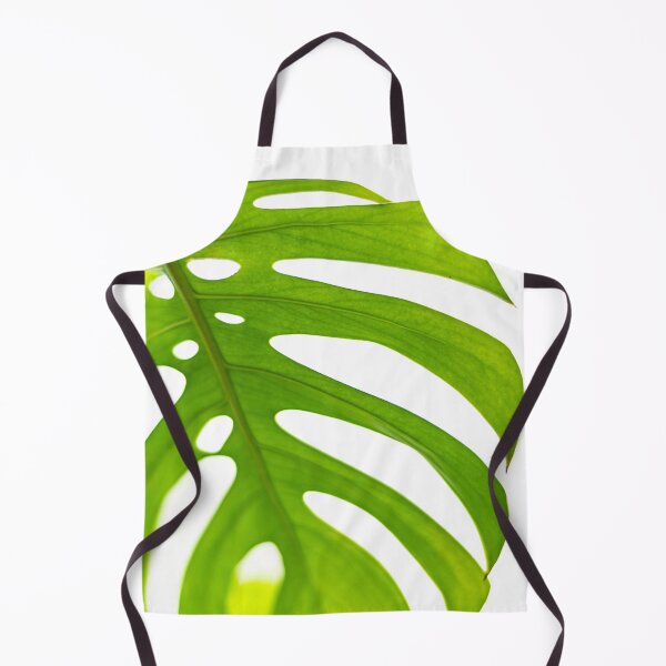 Item preview, Split Leaf Philodendron House Plant designed and sold by Roxane Bay.