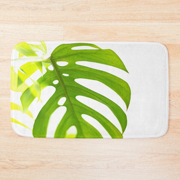 Item preview, Split Leaf Philodendron House Plant designed and sold by Roxane Bay.