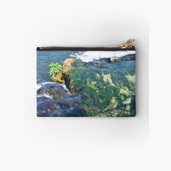 Item preview, waters at Ponce De Leon Springs designed and sold by Margaret Shark.
