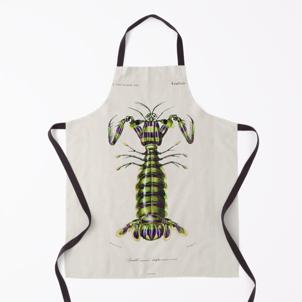 Item preview, Giant Mantis Shrimp Vintage Diagram Illustration designed and sold by Old Soul Vintage .