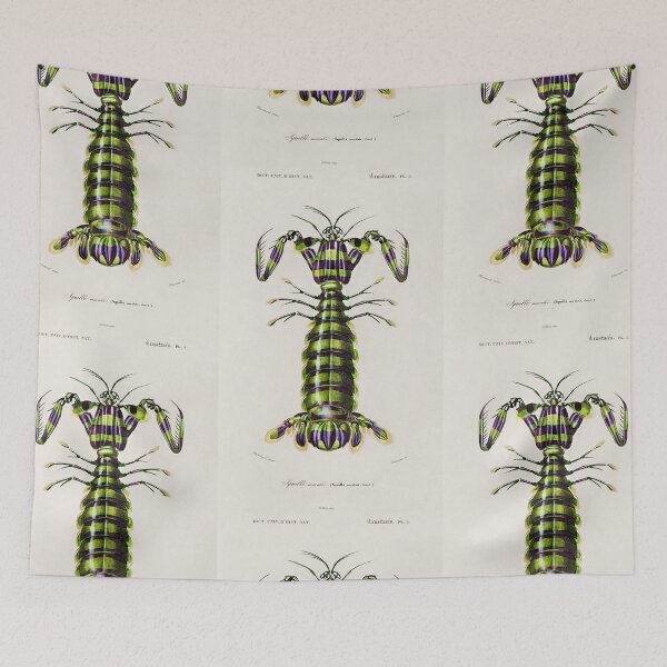 Item preview, Giant Mantis Shrimp Vintage Diagram Illustration  designed and sold by Old Soul Vintage .