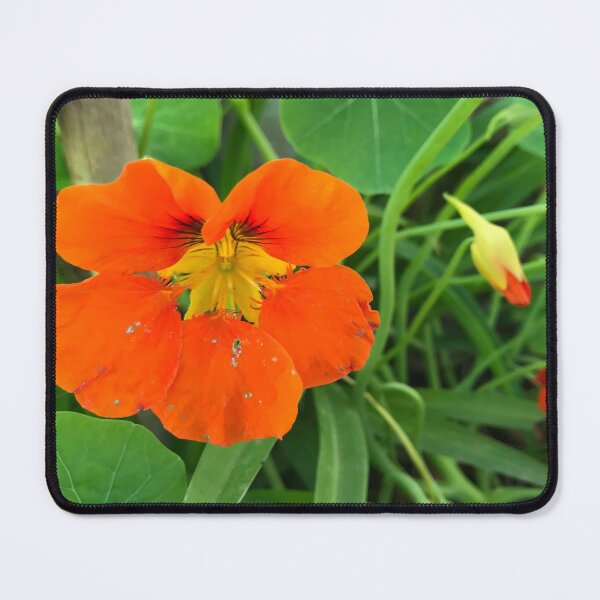 Item preview, Orange Roses With Green Leaves, Cute Orange Roses- designed and sold by bartdesigner.