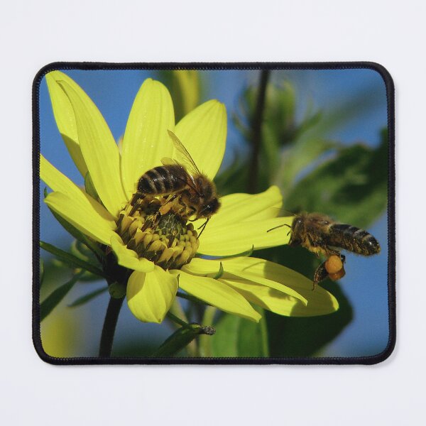 Item preview, Filling up  designed and sold by Sharon Perrett.
