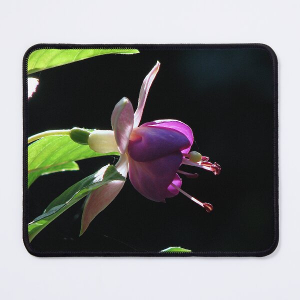 Item preview, A Fushia designed and sold by Sharon Perrett.