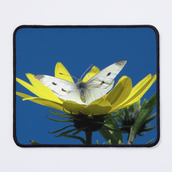 Item preview, Enjoyment designed and sold by Sharon Perrett.