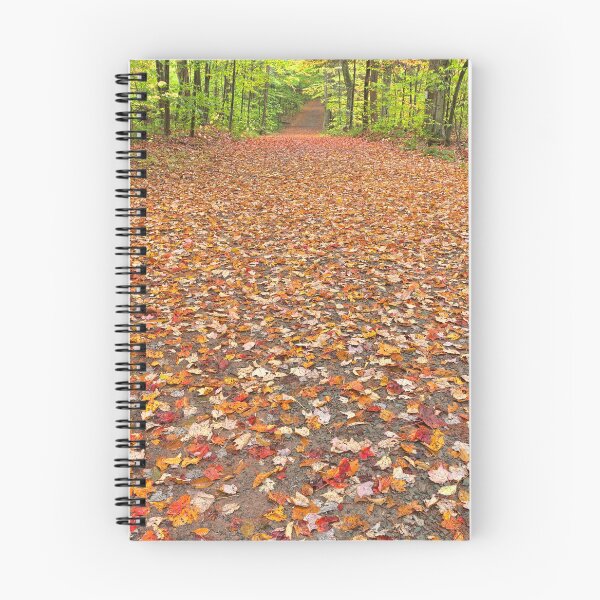 Item preview, Ricketts Glen Autumn Trail designed and sold by Nicolas Raymond.