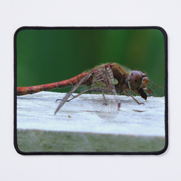 Item preview, Lunch Time  2 designed and sold by Sharon Perrett.