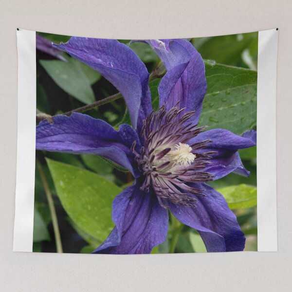 Item preview, Purple Reign designed and sold by Marylou Badeaux.