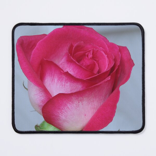 Item preview, My Rose designed and sold by Sharon Perrett.
