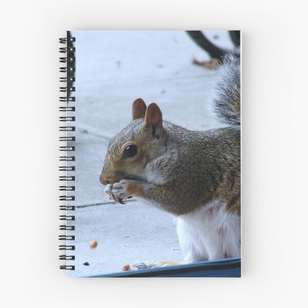 Item preview, Yummy  these nuts are good designed and sold by Sharon Perrett.